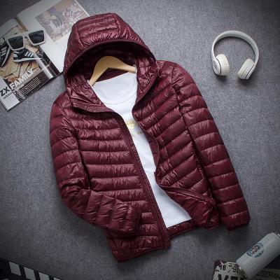 Matthew - Men's Fashion Hooded Slim Down Jacket